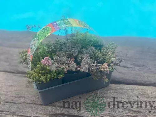 AKCIA! Mix skalničky 4ks