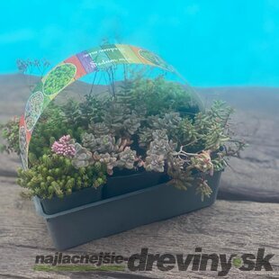 AKCIA! Mix skalničky 6ks