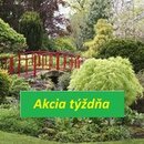 Akcia týždňa