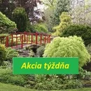 Akcia týždňa