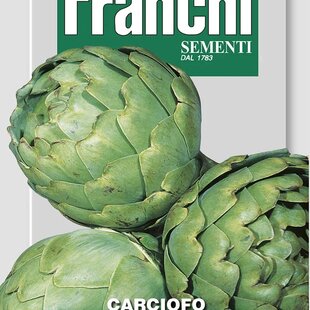 Artičok - GREEN GLOBE