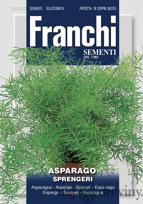 Asparagus - SPRENGERI - semená