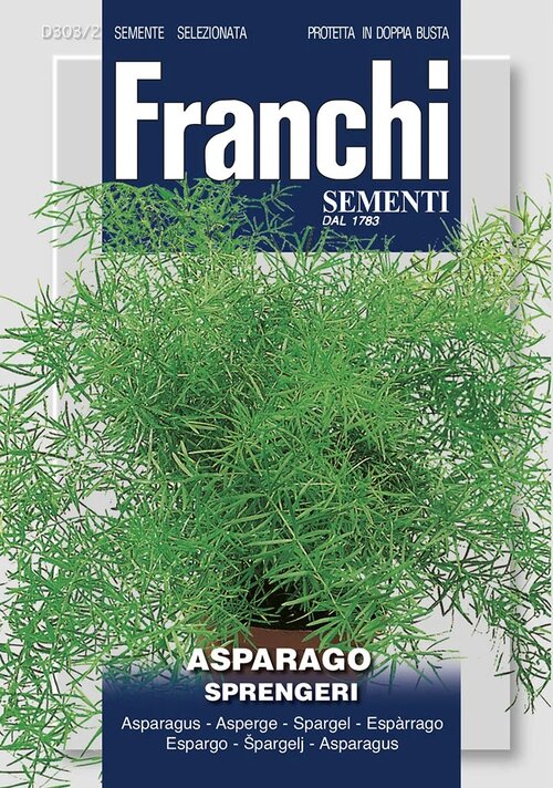 Asparagus - SPRENGERI - semená