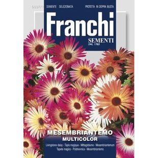 Astra alpínska - ZMES FARIEB - semená