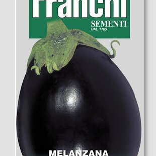 Baklažán - BLACK BEAUTY - semená, 4 gramy