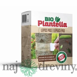BIO PLANTELLA obojstranný lepový PÁS 5m