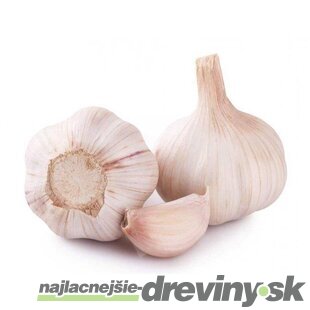 Cesnak FLAVOR jarný 250g, 45-55mm 3-4ks