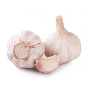 Cesnak FLAVOR jarný 250g, 45-55mm 3-4ks