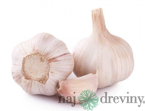 Cesnak FLAVOR jarný 250g, 45-55mm 3-4ks