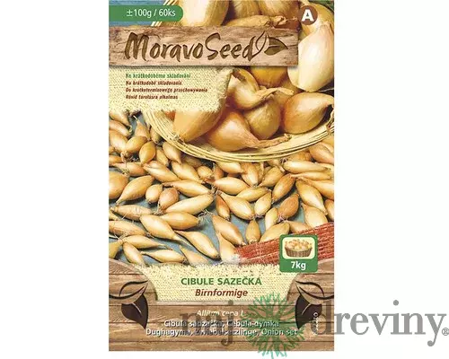 Cibuľa sadzačka BIRNFORMIGE žltá karta 100g, 8-16mm