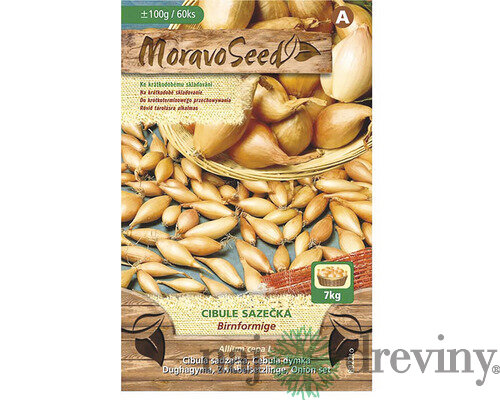 Cibuľa sadzačka BIRNFORMIGE žltá karta 100g, 8-16mm