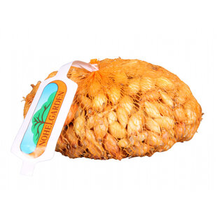 Cibuľa sadzačka CORRADO F1 500g, 8-16mm