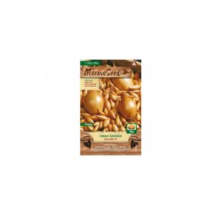 Cibuľa sadzačka CORRADO F1 žltá karta 100g, 8-16mm