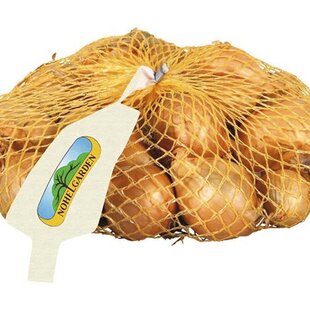 Cibuľa sadzačka GOLDEN GOURMET 500g, 7-15mm