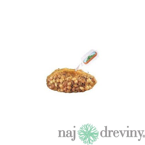 Cibuľa sadzačka HERCULES 500g, 8-16mm