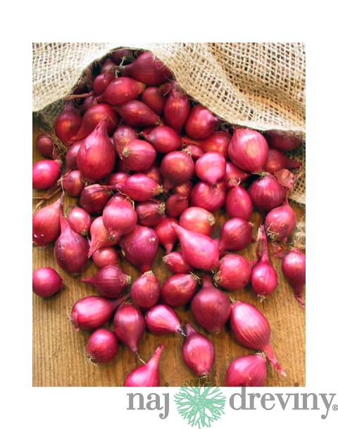 Cibuľa sadzačka KARMEN 250g, 8-16mm