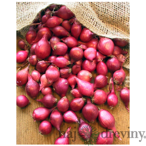 Cibuľa sadzačka KARMEN 250g, 8-16mm