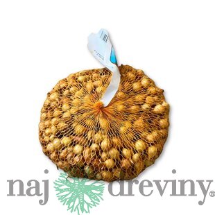 Cibuľa sadzačka KARMEN 500g, 8-16mm