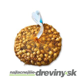 Cibuľa sadzačka KARMEN 500g, 8-16mm