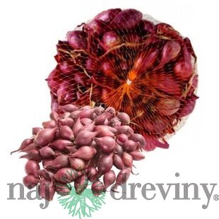 Cibuľa sadzačka KARMEN 500g, 8-16mm