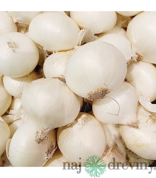 Cibuľa sadzačka SNOWBALL 250g, 8-16mm