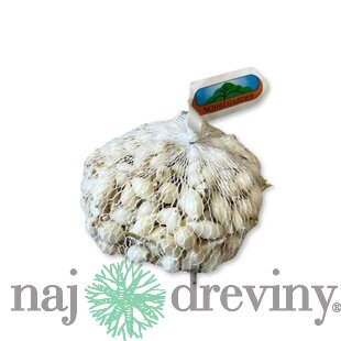 Cibuľa sadzačka SNOWBALL 500g, 8-16mm