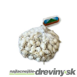 Cibuľa sadzačka SNOWBALL 500g, 8-16mm