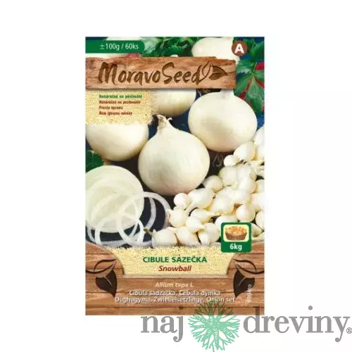 Cibuľa sadzačka SNOWBALL biela karta 100g, 8-16mm