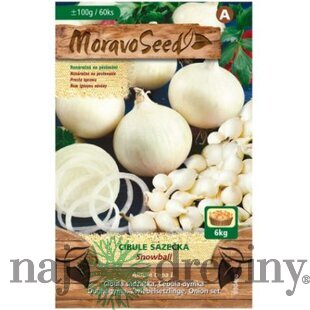 Cibuľa sadzačka SNOWBALL biela karta 100g, 8-16mm