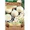 Cibuľa sadzačka SNOWBALL biela karta 100g, 8-16mm