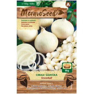 Cibuľa sadzačka SNOWBALL biela karta 100g, 8-16mm