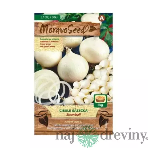 Cibuľa sadzačka SNOWBALL biela karta 100g, 8-16mm