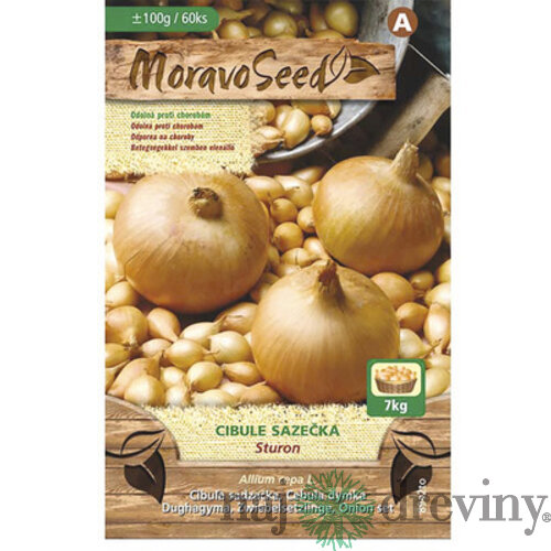 Cibuľa sadzačka STURON žltá karta 100g, 8-16mm