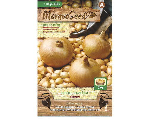 Cibuľa sadzačka STURON žltá karta 100g, 8-16mm