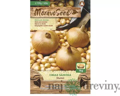 Cibuľa sadzačka STURON žltá karta 100g, 8-16mm