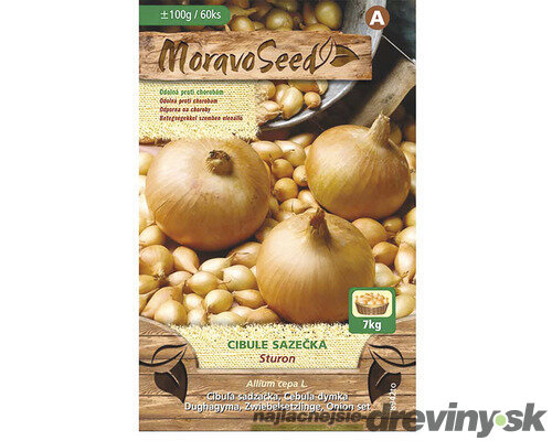 Cibuľa sadzačka STURON žltá karta 100g, 8-16mm