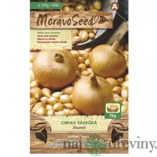 Cibuľa sadzačka STURON žltá karta 100g, 8-16mm