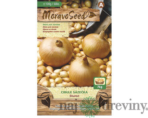 Cibuľa sadzačka STURON žltá karta 100g, 8-16mm