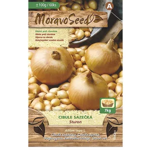 Cibuľa sadzačka STURON žltá karta 100g, 8-16mm