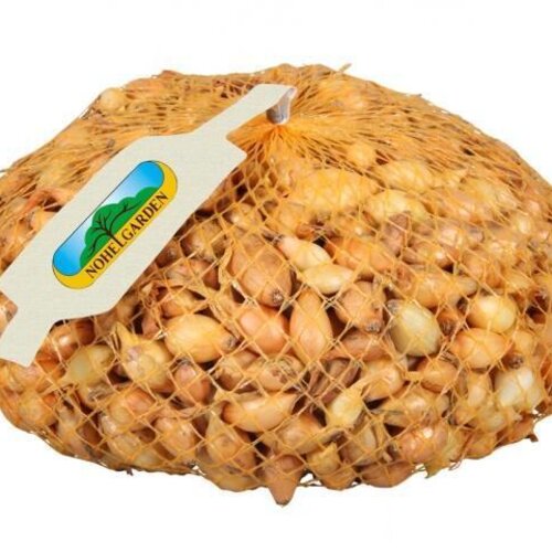 Cibuľa sadzačka VŠETANA 250g, 8-16mm