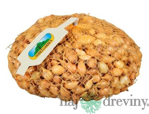 Cibuľa sadzačka VŠETANA 250g, 8-16mm
