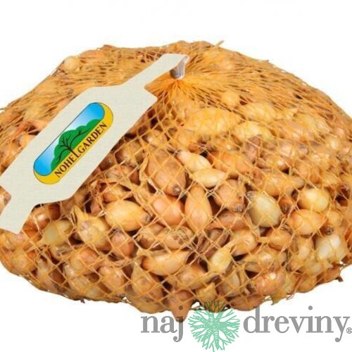 Cibuľa sadzačka VŠETANA 500g, 8-16mm