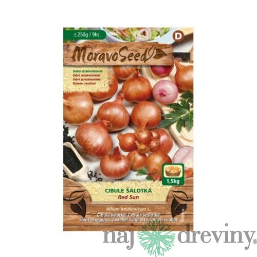 Cibuľa šalotka RED SUN červená karta 250g, 7-15cm