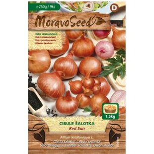 Cibuľa šalotka RED SUN červená karta 250g, 7-15cm