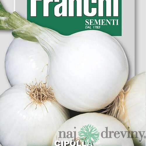 Cibuľa - TONDA MUSONA