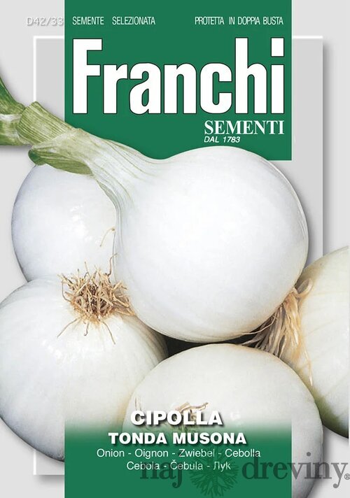 Cibuľa - TONDA MUSONA