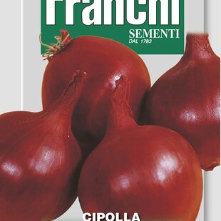 Cibuľa - TROPEA ROSSA TONDA