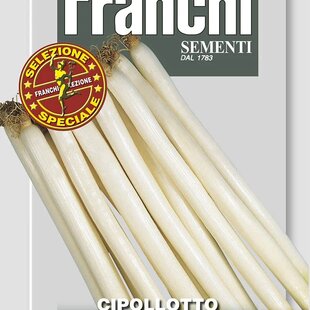 Cibuľa zimná - DA MAZZI F1