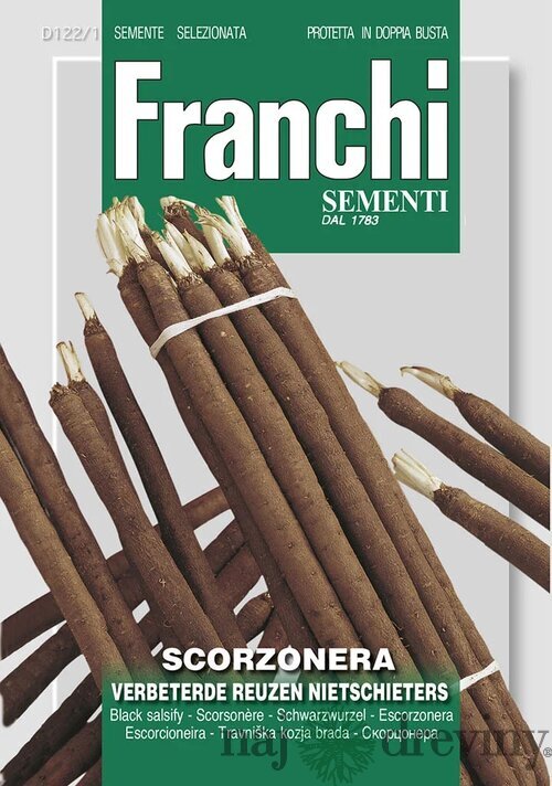 Čierny koreň - VERBETERDE REUZEN NIETSCHIETERS - semená 5 gr.