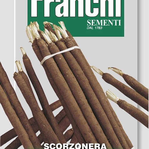 Čierny koreň - VERBETERDE REUZEN NIETSCHIETERS - semená 5 gr.